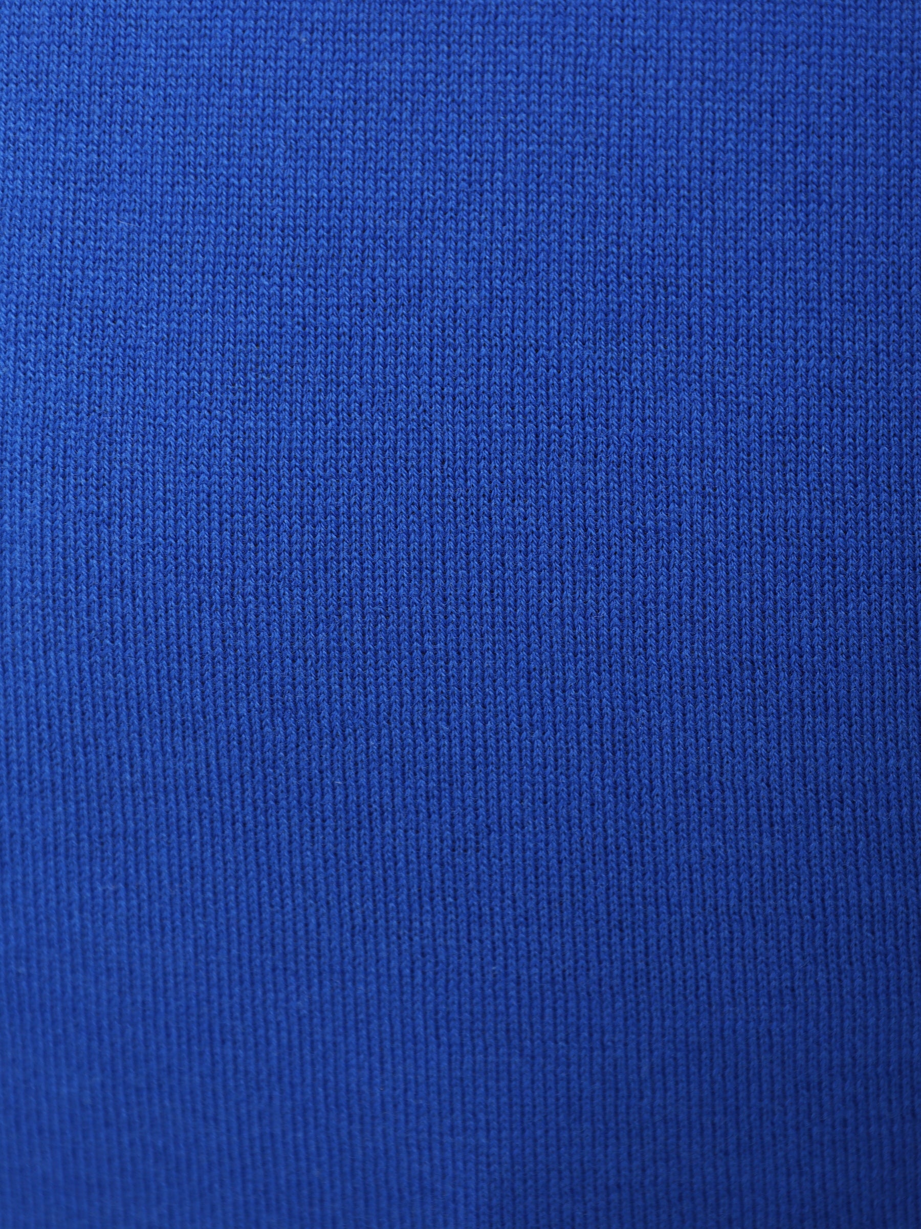 Polo BML