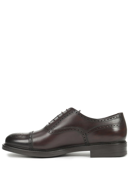 Oxford Style Brogues Franceschetti