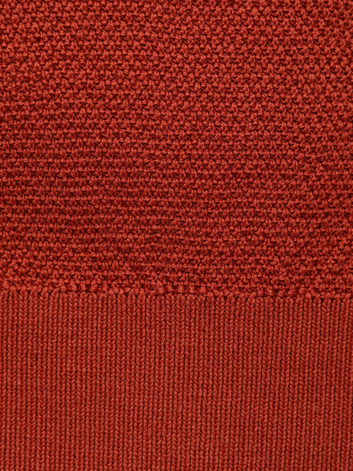 Knit Polo BML