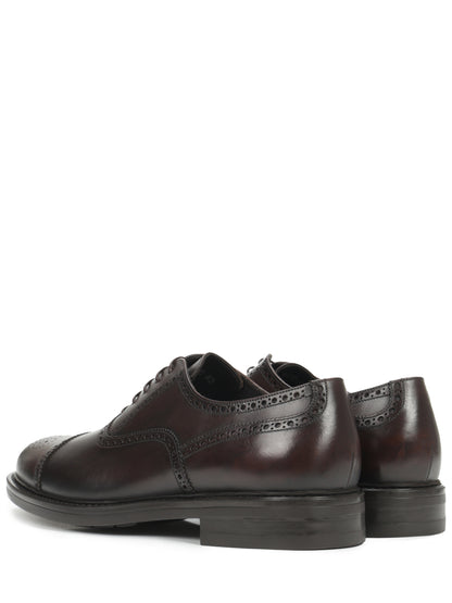 Oxford Style Brogues Franceschetti