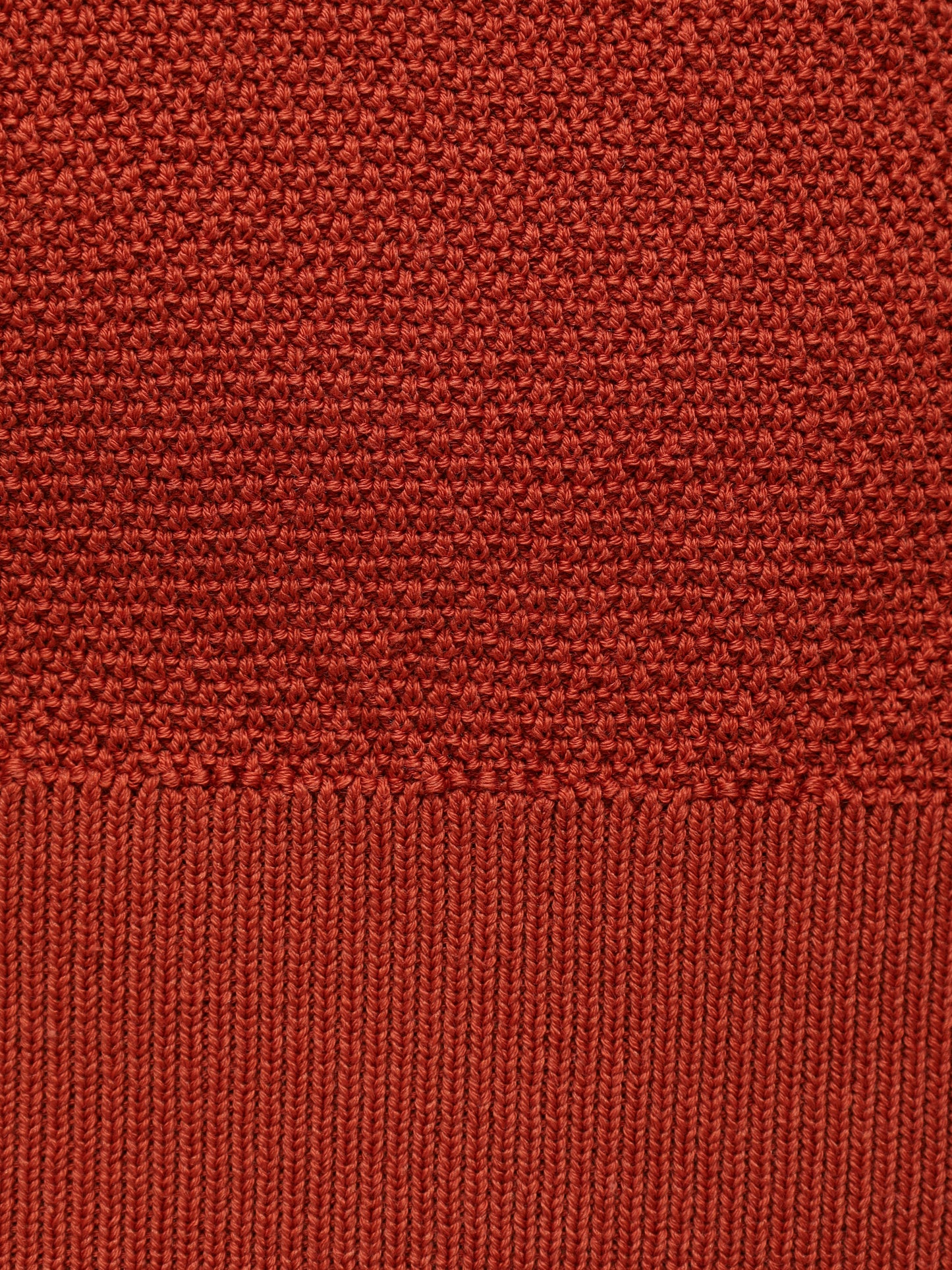 Knit Polo BML