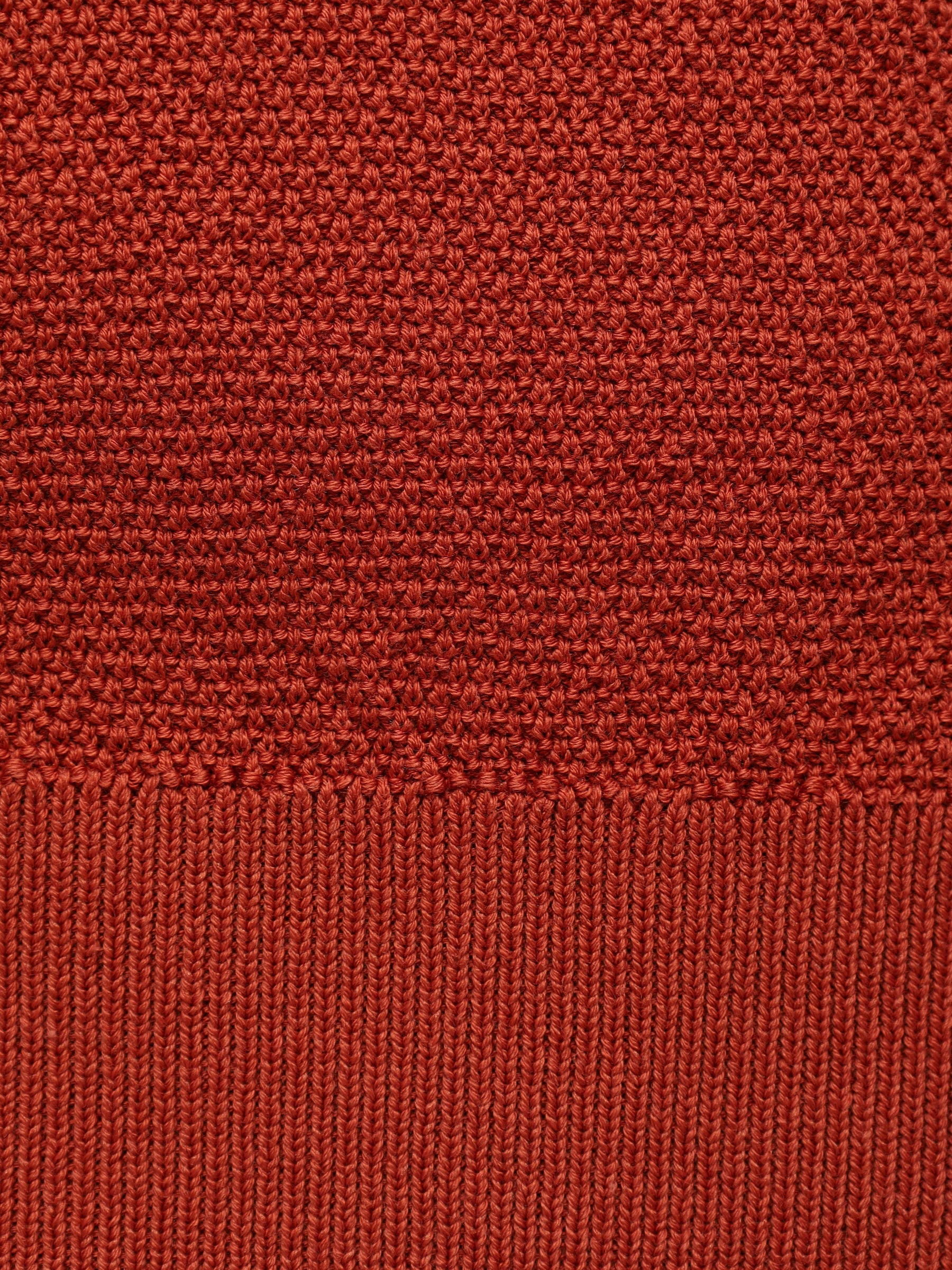 Knit Polo BML